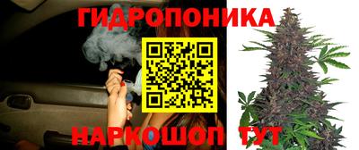 метадон Аша